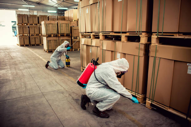 Best Local Pest Control Services  in Hanley Hills, MO