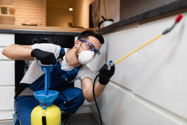 Best Pest Control Treatment  in Hanley Hills, MO