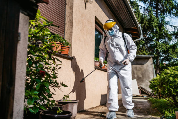 Best Emergency Pest Control  in Hanley Hills, MO