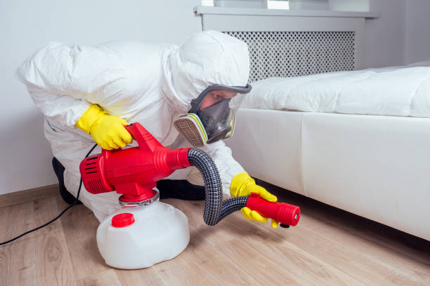 Best Pest Prevention Services  in Hanley Hills, MO