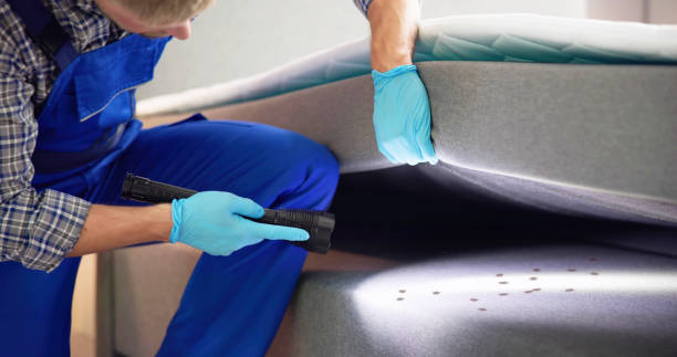 Best Bed Bug Extermination  in Hanley Hills, MO
