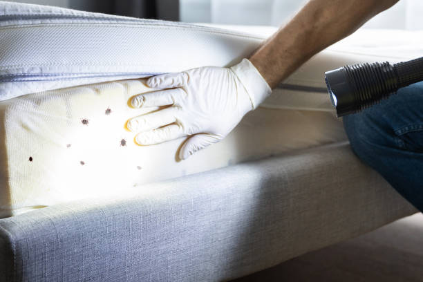 Best Commercial Pest Control Services  in Hanley Hills, MO