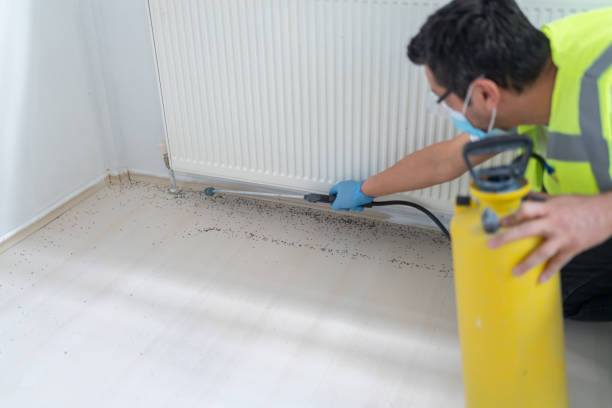 Best Residential Pest Control  in Hanley Hills, MO