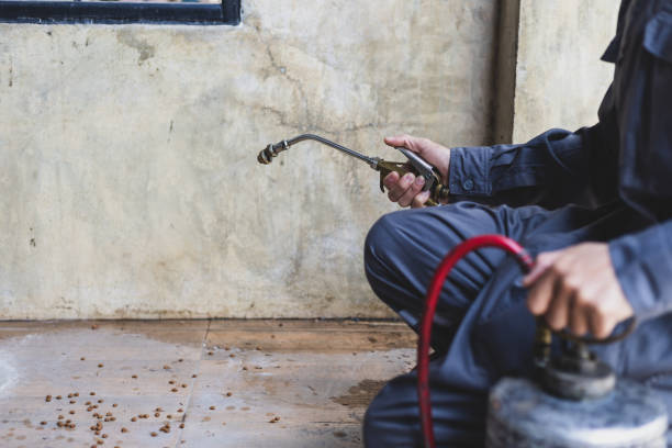 Professional Pest Control in Hanley Hills, MO